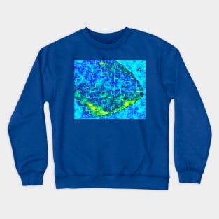 Big Blue Crewneck Sweatshirt